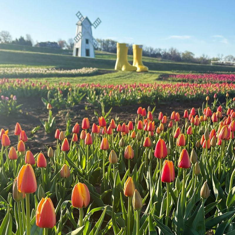 Nelson Produce Farm