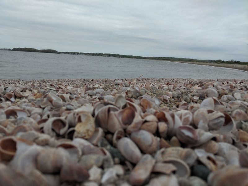 Bluff Point State Park, Groton