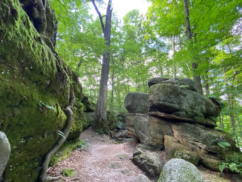 Nelson-Kennedy Ledges State Park