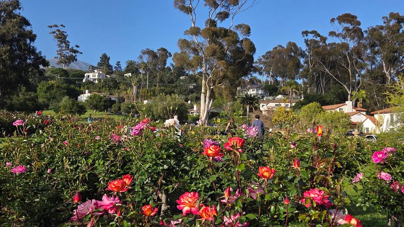 Santa Barbara Courthouse And Mission Rose Garden, Santa Barbara