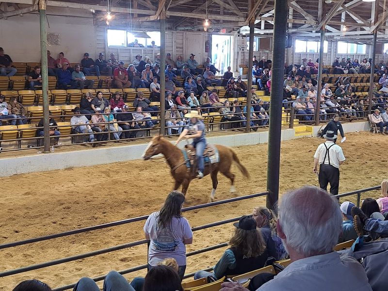 Iredell County Agricultural Fair