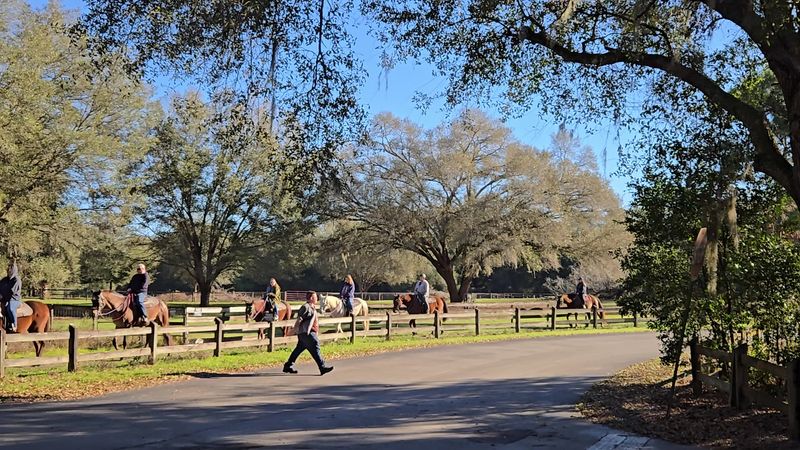 Cactus Jack's Trail Rides & Farm Tours, Ocala