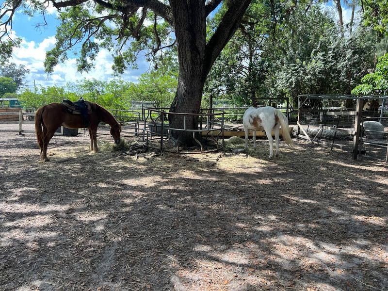 WB Family Ranch, Davie