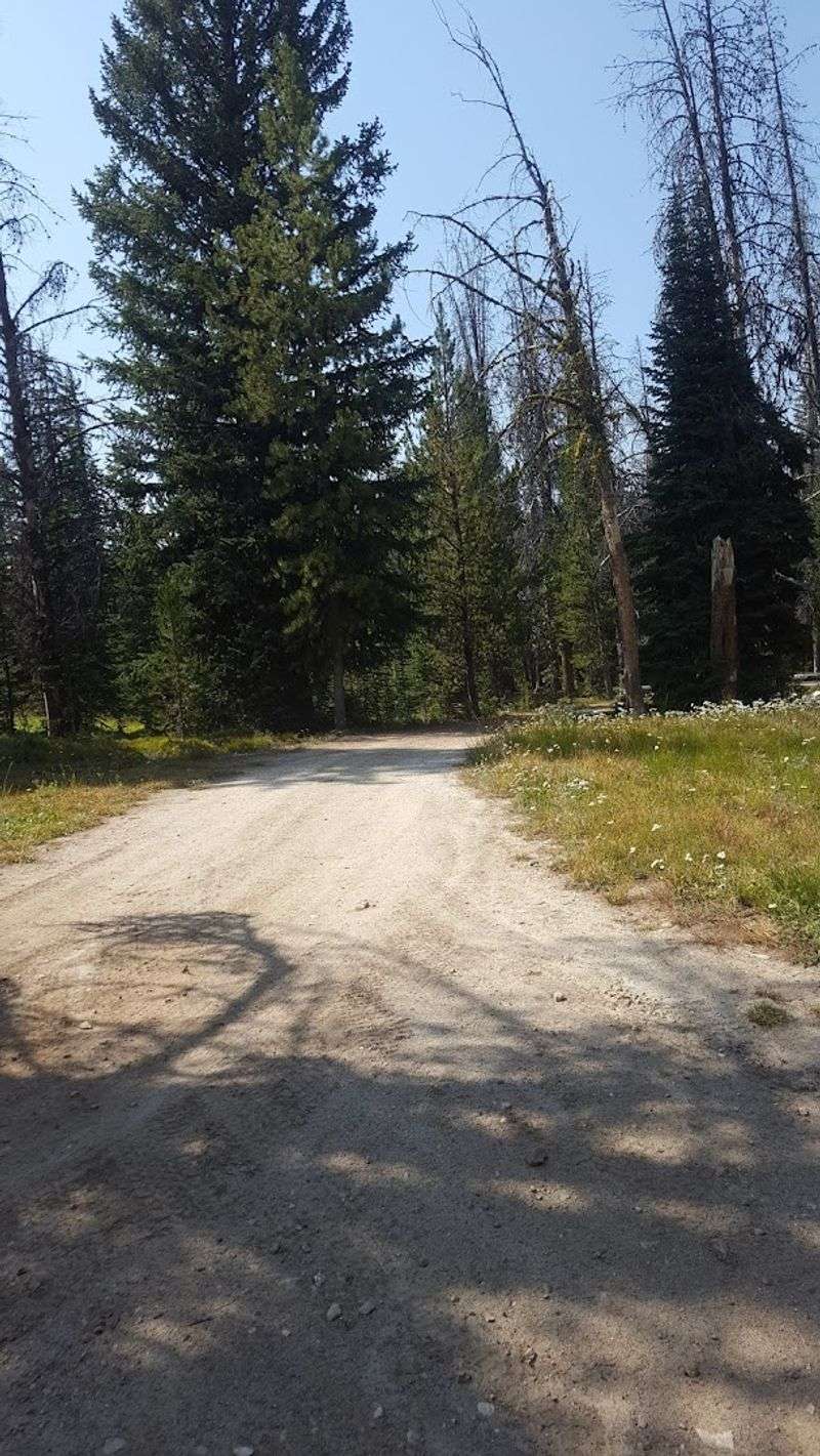 The Idaho Backcountry Road That Climbs Nearly 9,000 Feet And Feels Miles From Everything - Decor Hint Forest Roads Turn The Drive Into A Serious Adventure
