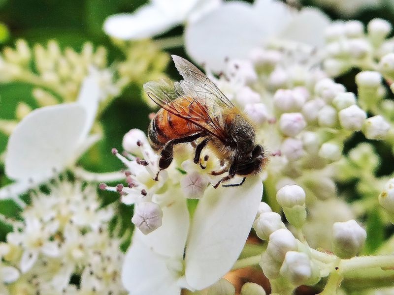 Wildlife Worth Watching For