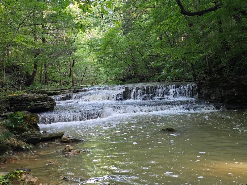 Pine Creek Nature Preserve