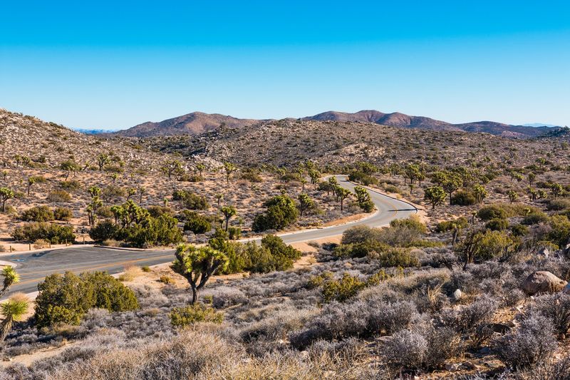 Joshua Tree And Palm Springs Desert Loop
