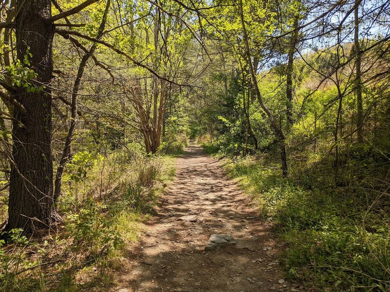 This North Carolina Trailhead Leads To A Mountain View Worth The Climb - Decor Hint One Ridge Walk Makes The Whole Ascent Worth It