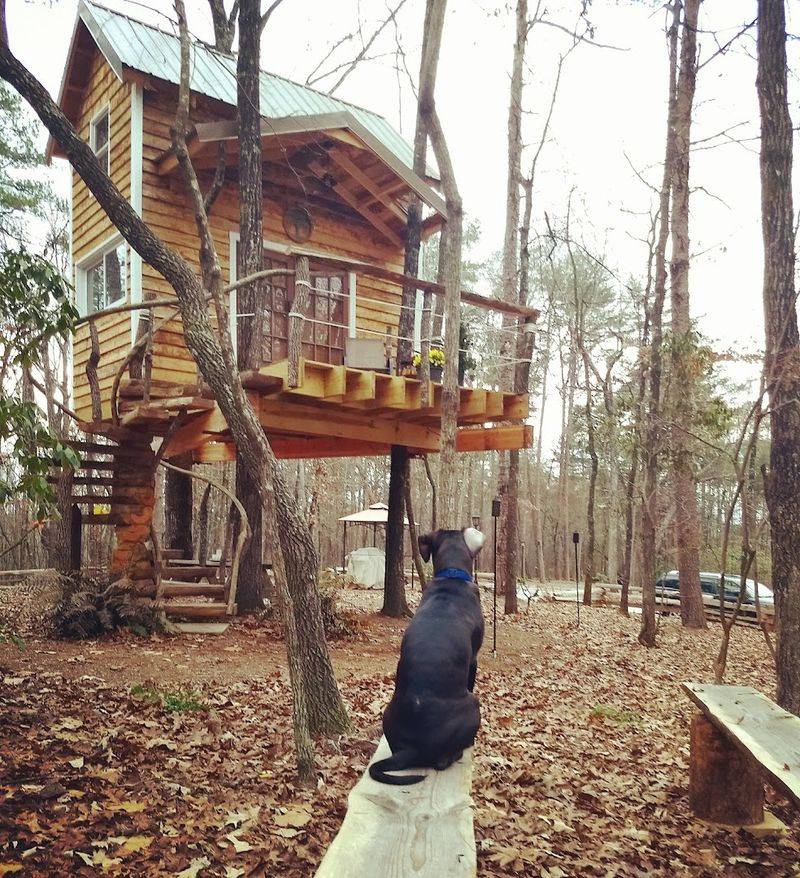 What To Pack For A Treehouse Stay