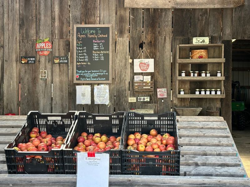 Ayres Family Orchard, Owenton