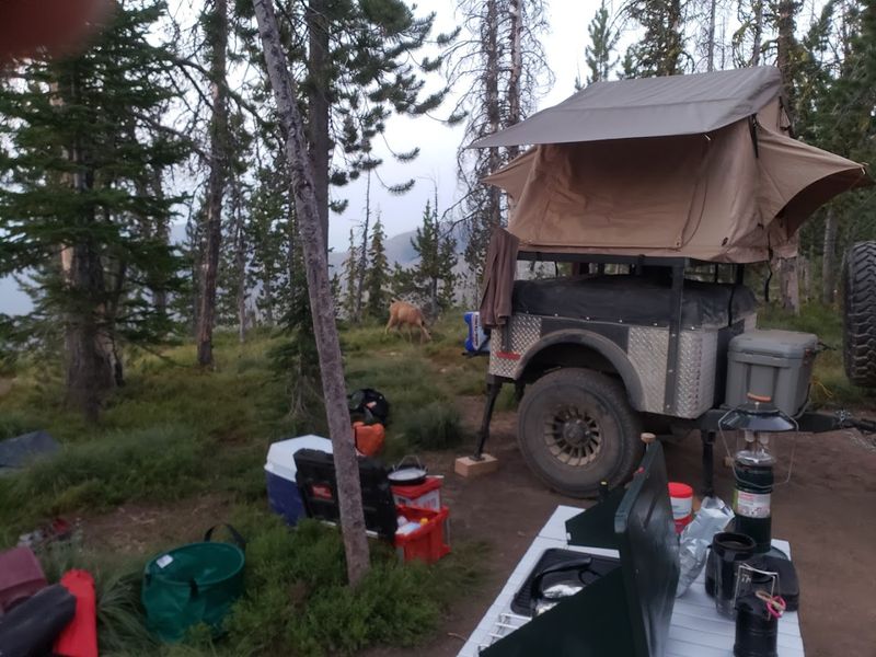 The Idaho Backcountry Road That Climbs Nearly 9,000 Feet And Feels Miles From Everything - Decor Hint Remote Campsites Make The Corridor Feel Even Farther Out