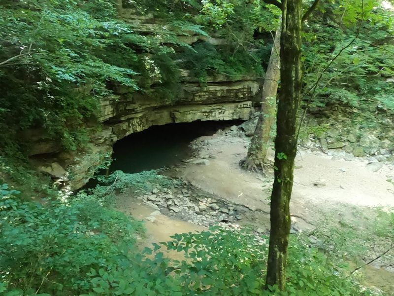 Mammoth Cave National Park