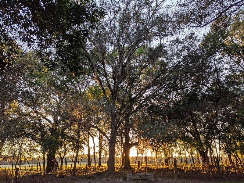 This Bike Trail In Florida Strings Together Four Charming Towns - Decor Hint Old Florida Charm Along The Way