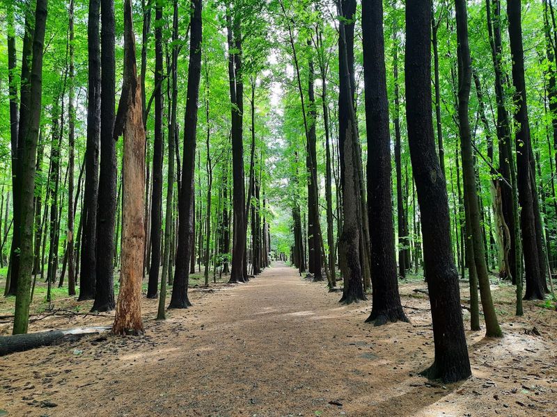Saratoga Spa State Park, Saratoga Springs