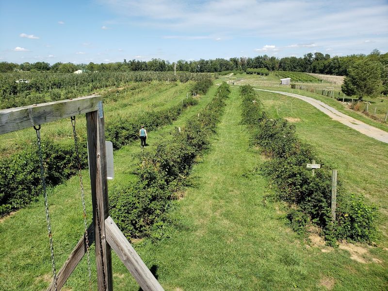 Mackintosh Fruit Farm