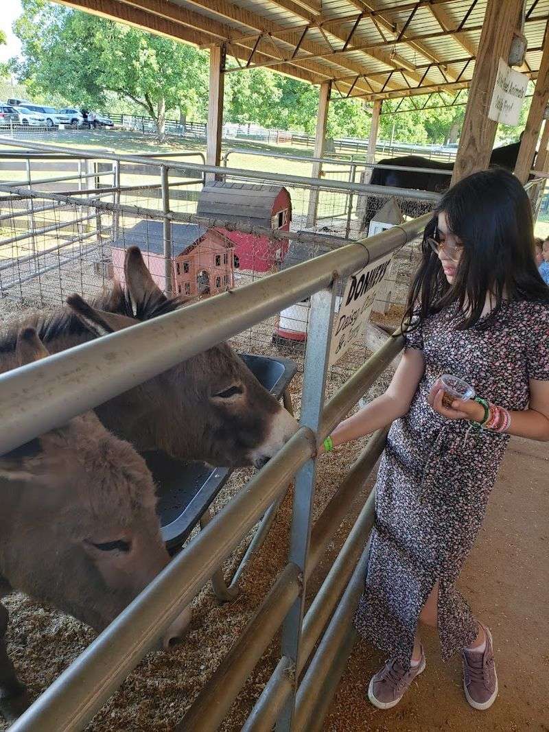 Friendly Farm Animals That Little Ones Will Adore