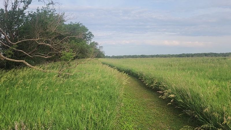 The Charming Small Town In Nebraska That's Perfect For A Budget-Friendly Day Trip - Decor Hint Prairie Trails Add A Free Outdoor Break
