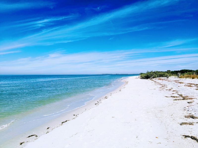 17 Incredible Florida Islands That Belong On Every Weekend Getaway List - Decor Hint Caladesi Island State Park