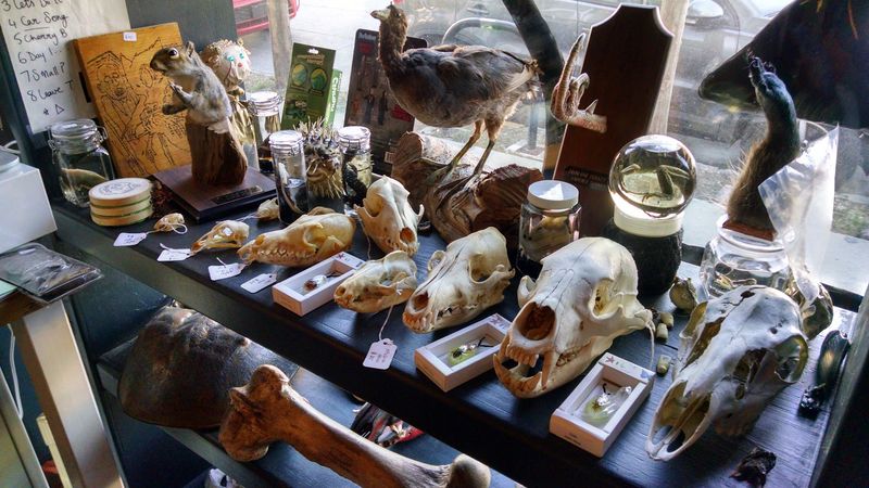 The On-Site Museum That Visitors Call A Must-See