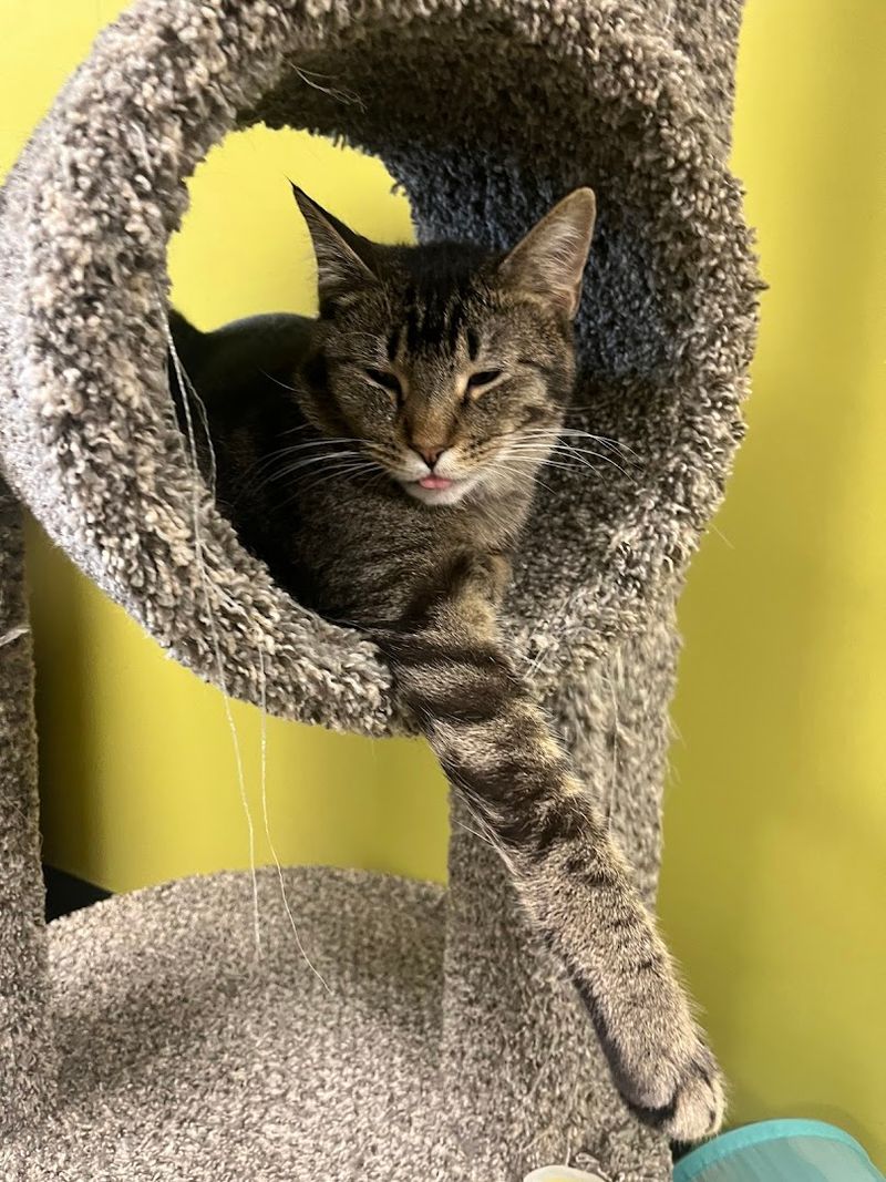 Why This Place Sticks With You