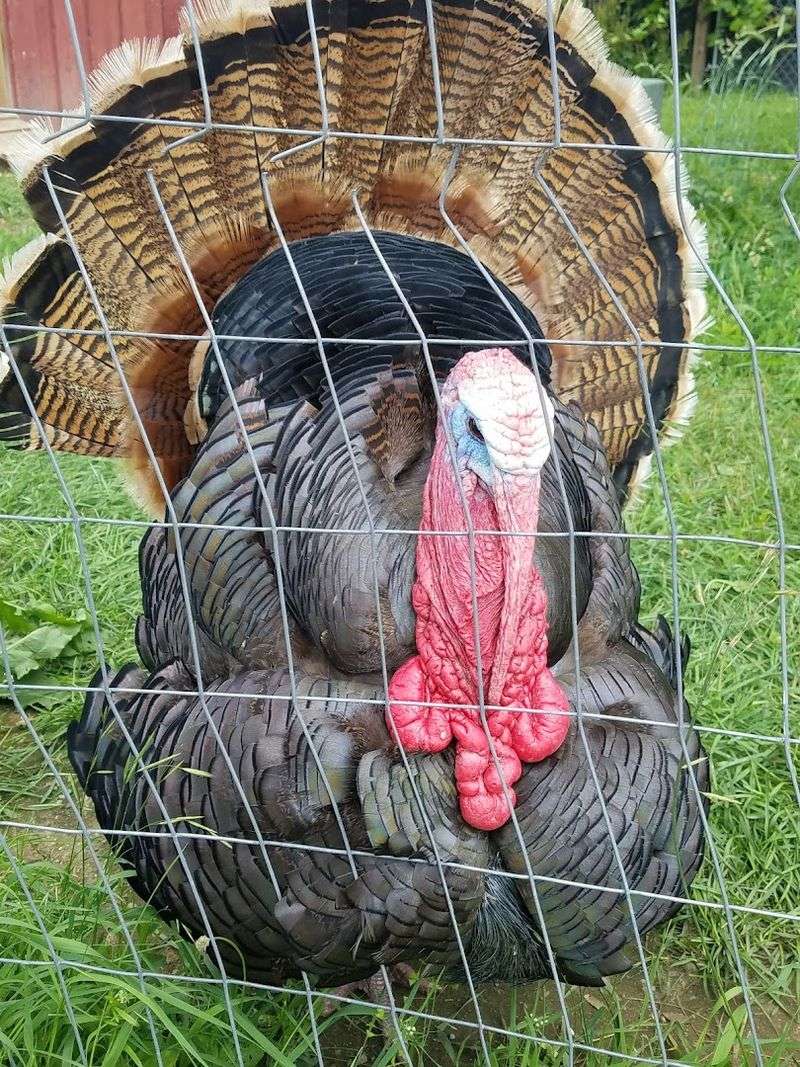 Touring The Sanctuary On A Weekend Visit