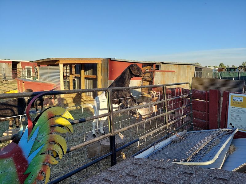 The Setting And Atmosphere Of The Farm
