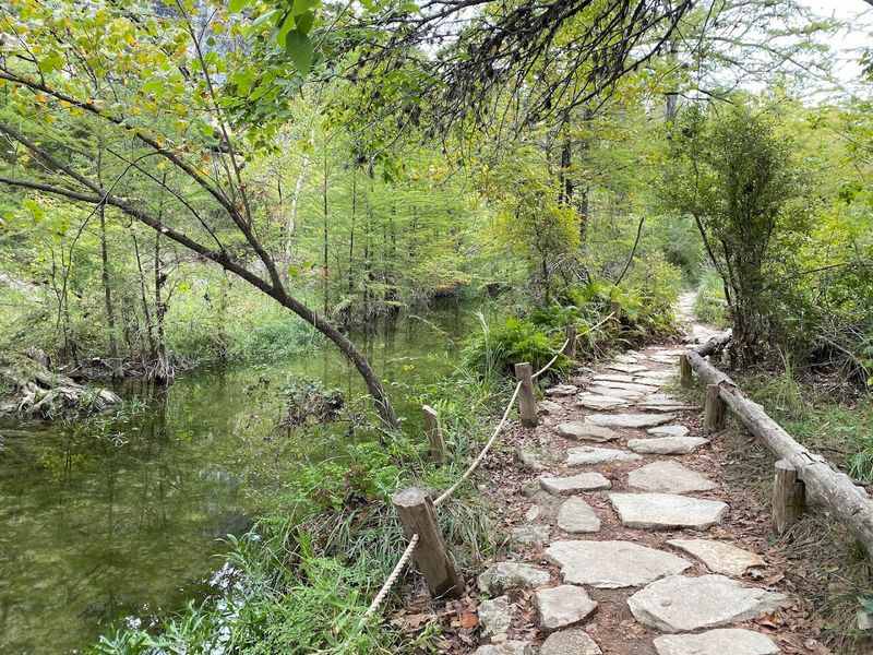 The Trail Down To The Pool