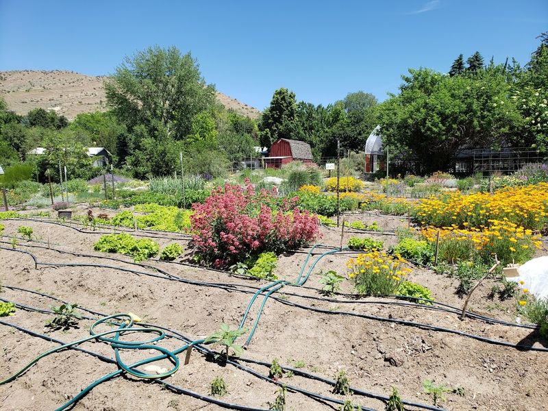 The Setting And Grounds