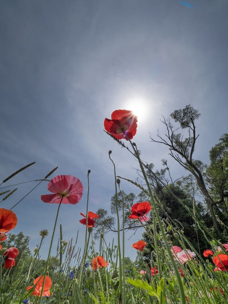 Why Photographers Absolutely Love This Spot