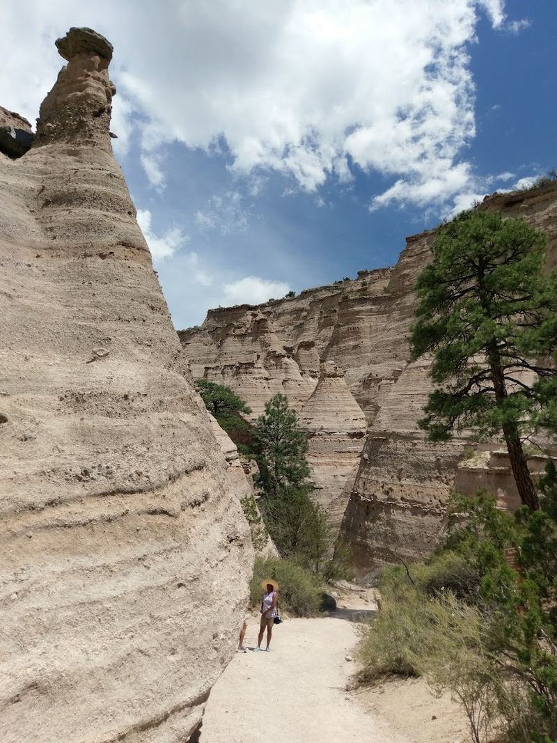 Veterans Memorial Trail and accessible areas