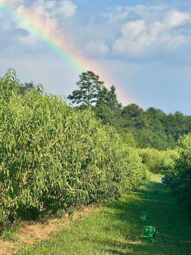 A Hidden Gem That Feels Wonderfully Off The Beaten Path