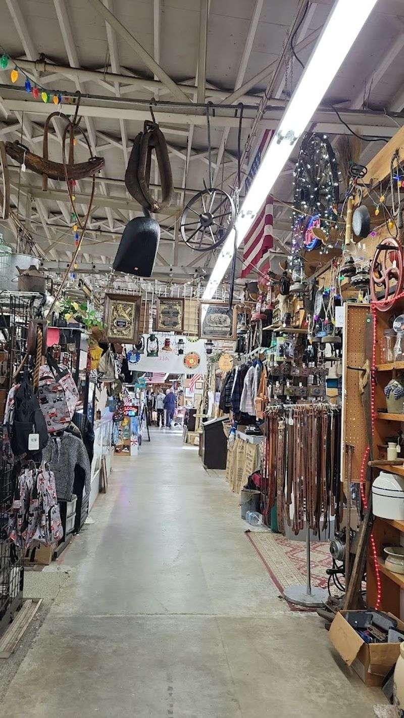 The Most Impressive Vinyl Record Collection Most Visitors Have Ever Seen