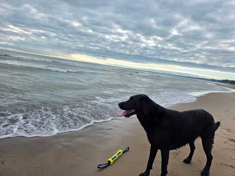 Nickel Plate Beach, Huron