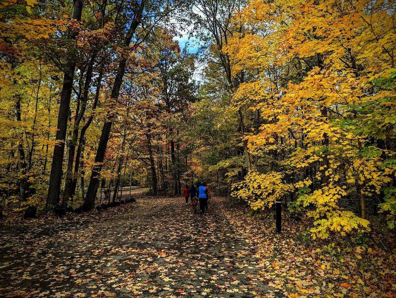 Seasons Change Everything Here