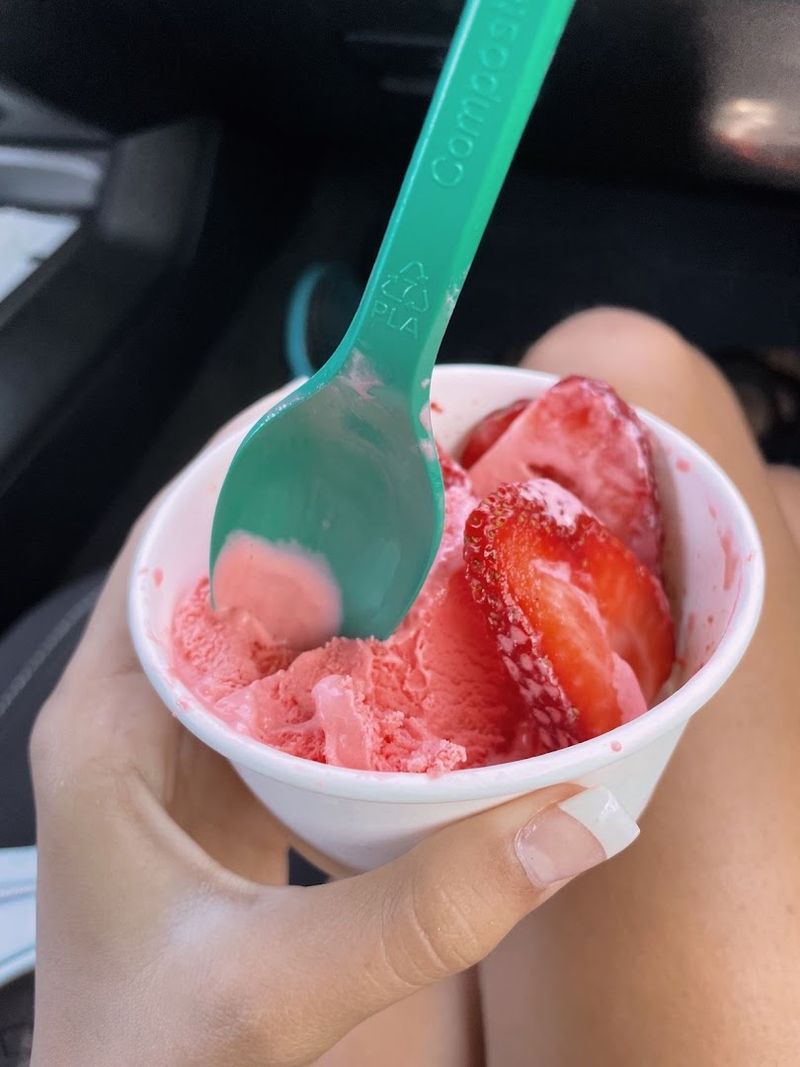 The Sweetest Nostalgia In Indiana Is Found At These 9 Ice Cream Shops - Decor Hint Neveria Tropical