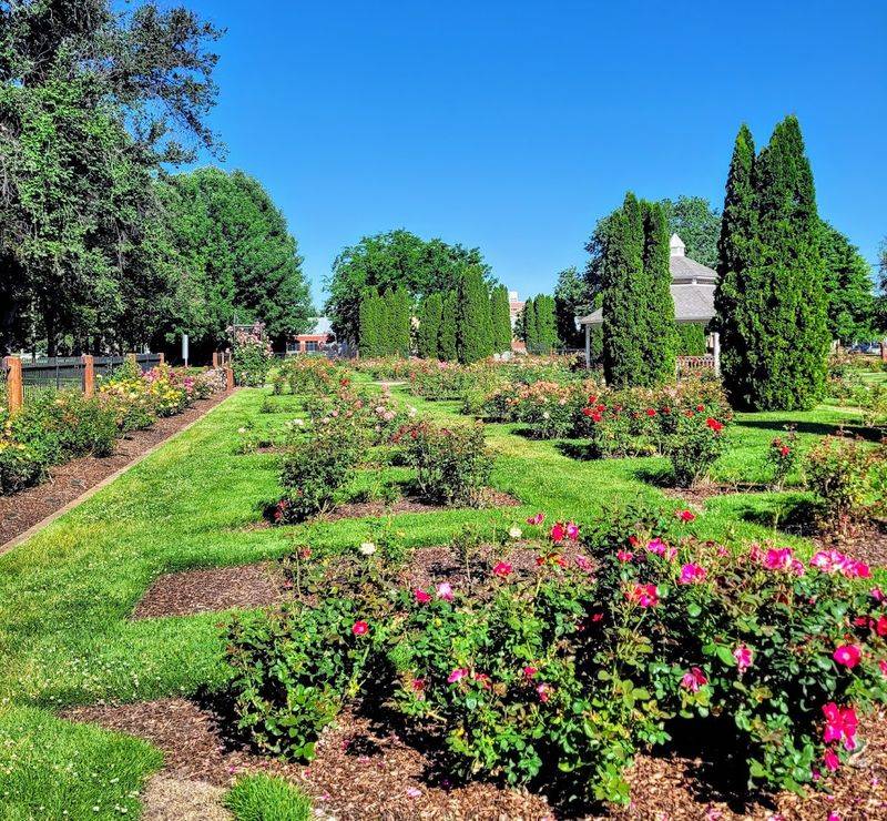 The Rose Garden Gives Walkers A Beautiful Place To Slow Down