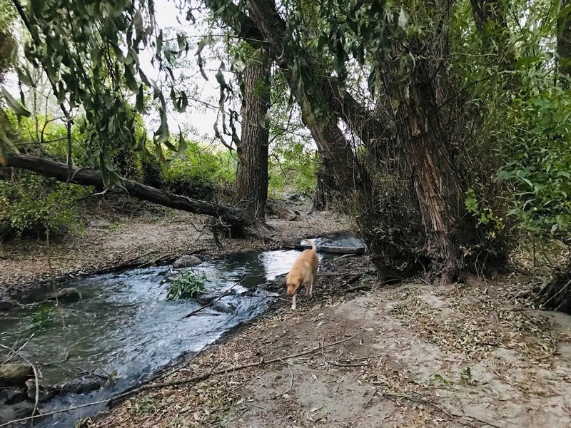 Portneuf Greenway, Pocatello