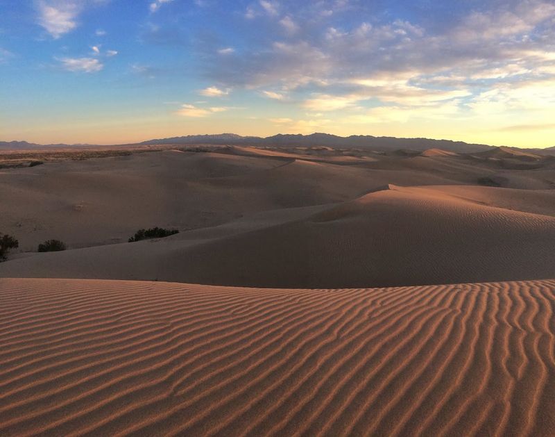 Cadiz Dunes Wilderness, Mojave Trails National Monument