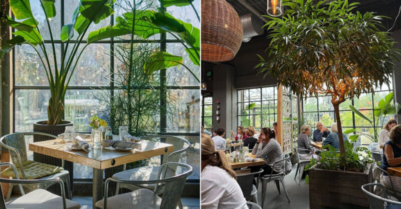 Inside The Connecticut Cafe That Feels Like A Greenhouse Dream