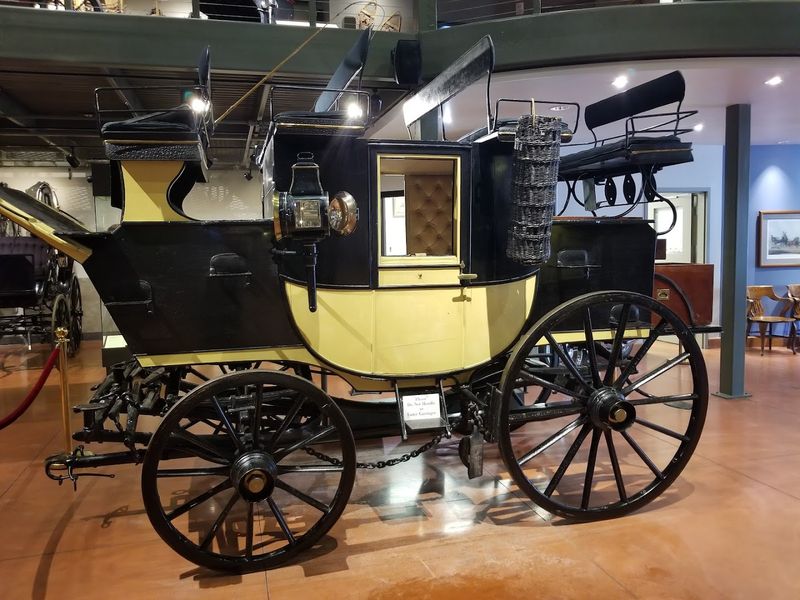 The Museum's Fascinating Origin Story