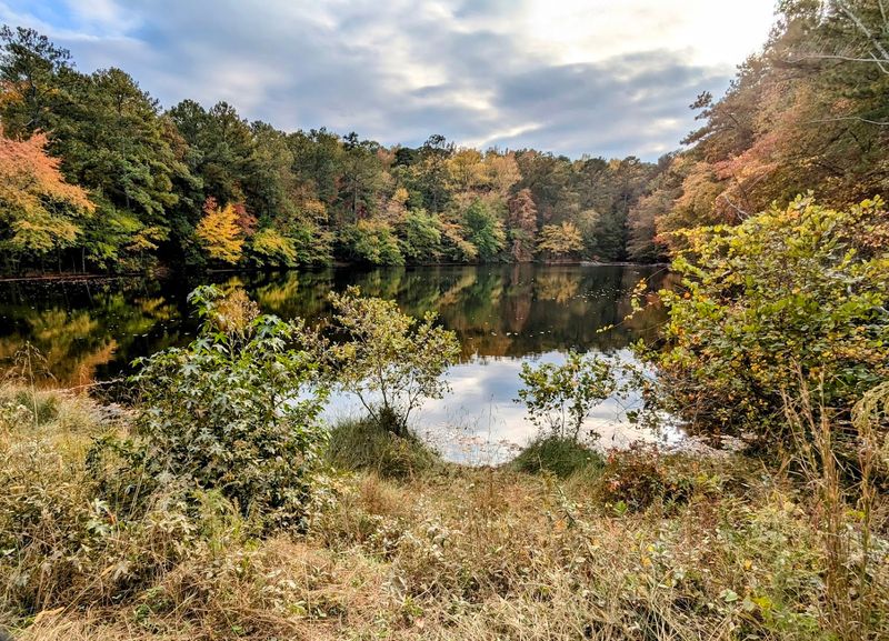 The Georgia Mountain Bike Trail That Feels Like Traveling Back In Time - Decor Hint Kid-Friendly Visits That Build Outdoor Confidence