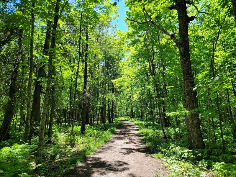 Jay Cooke State Park, Duluth 