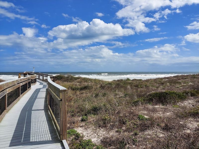 10 Florida Trails Where Easy Walks Lead To Surprisingly Unforgettable Views - Decor Hint Little Talbot Island Nature Trail