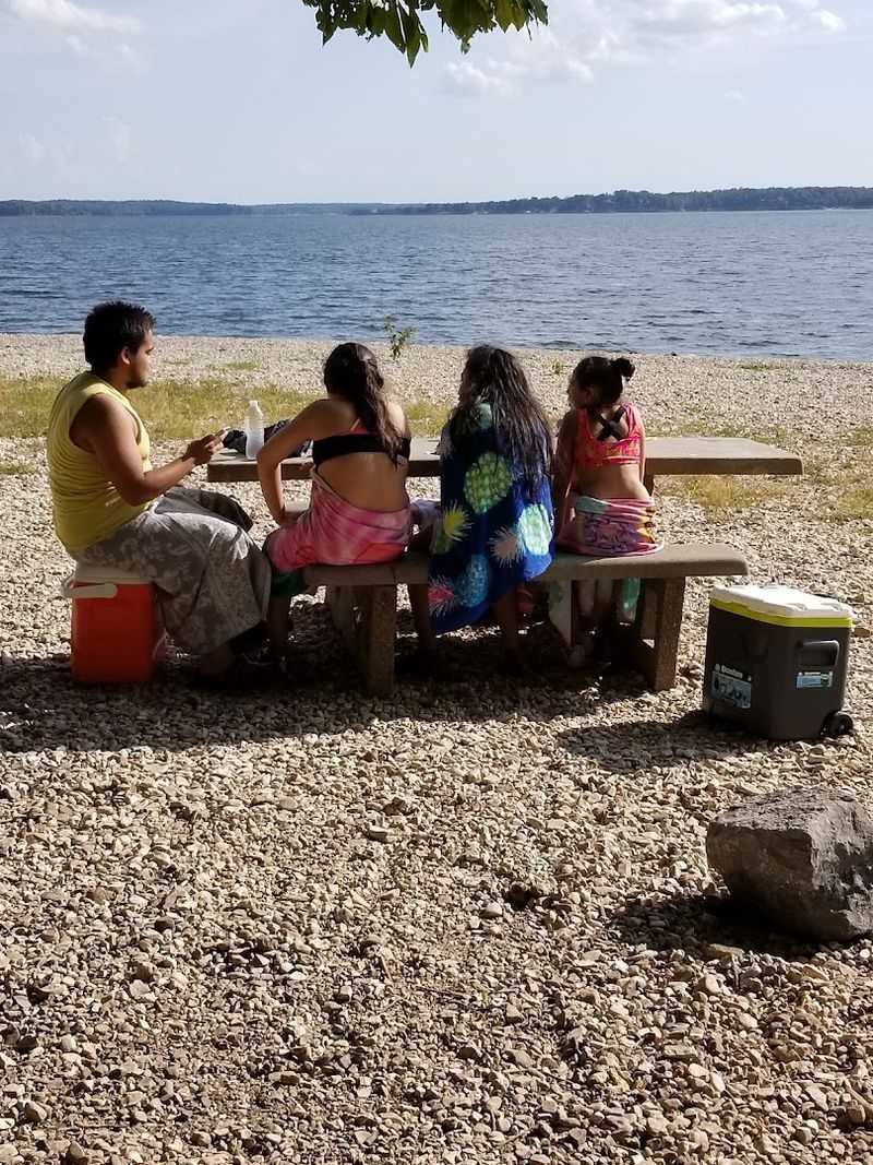 Picnic Setups That Actually Work