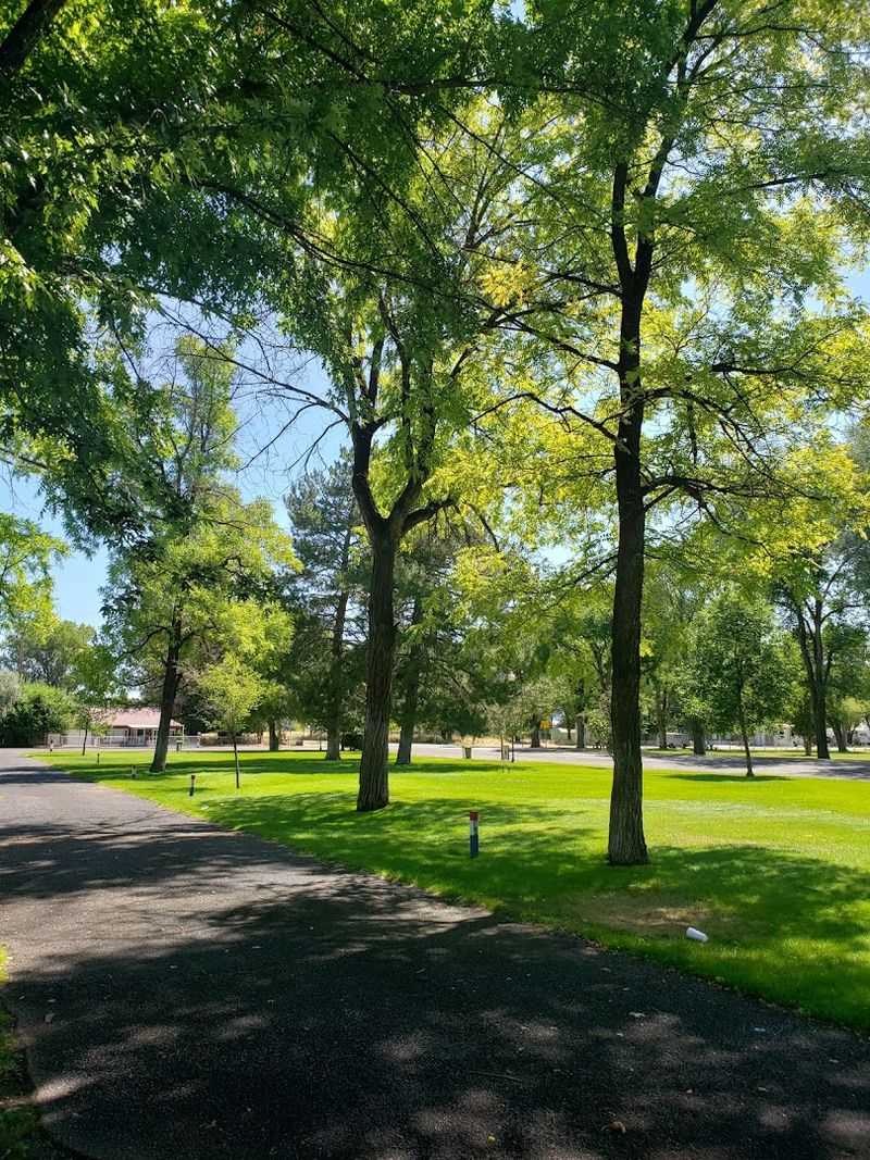 Outdoor Space Is Part Of The Daily Deal