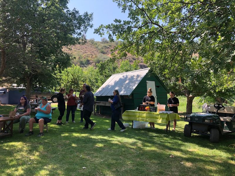 Visitors Can Pick Their Own Late-Summer Pears At This Family Idaho Orchard - Decor Hint Perfect Timing For Your Visit