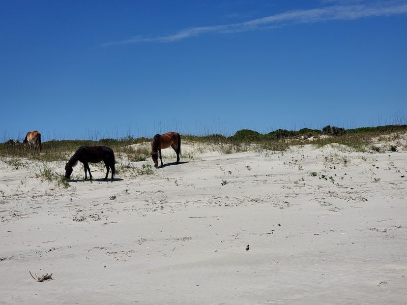 Stafford Beach Campground