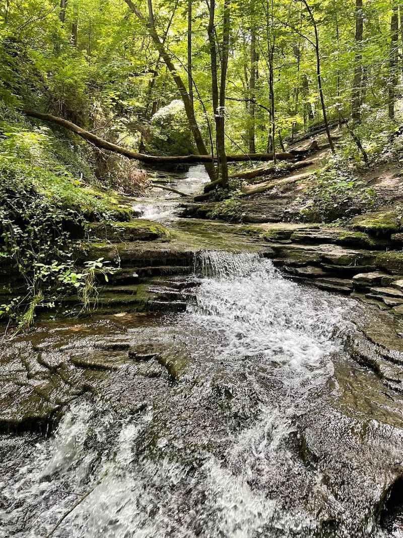 Jessamine Creek Gorge