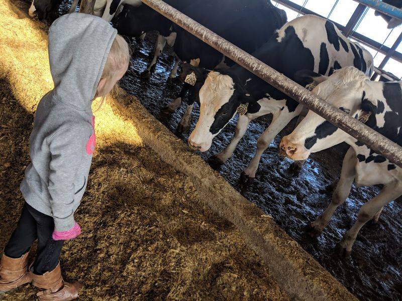 Prairieland Dairy