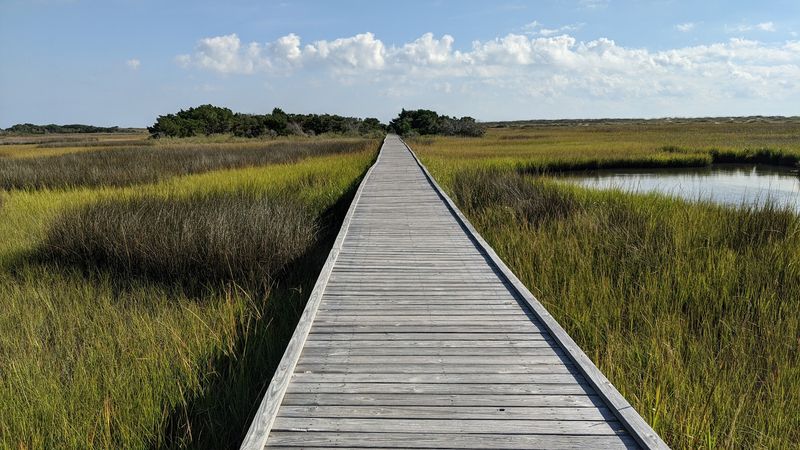 Fort Fisher Basin Trail